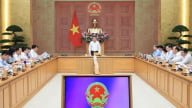 Thủ tướng: Không để thiếu điện, xăng dầu trong mọi tình huống