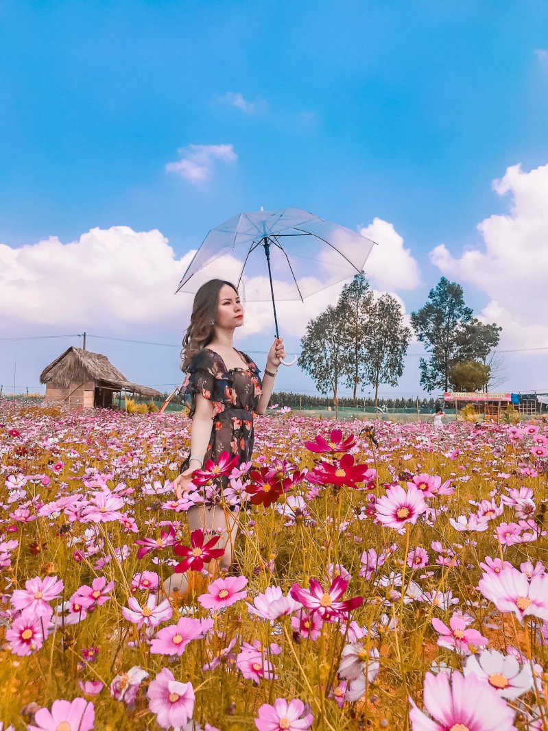 Trong tương lai, Sam mong muốn được học hỏi và phát triển để trở thành một KOL chuyên nghiệp.