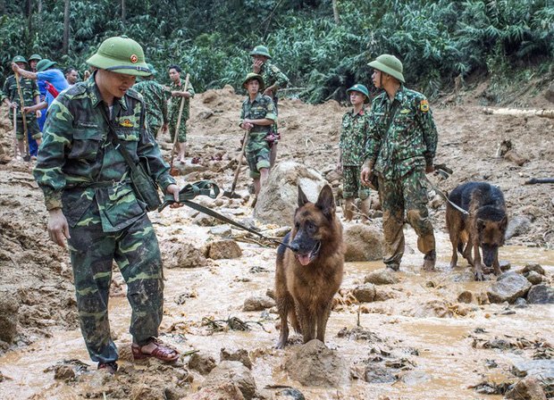 Đào bới bùn lầy tìm đồng đội. (Ảnh: Tienphong)