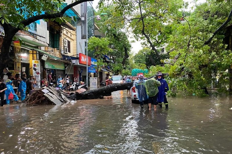 Cây xanh gãy đổ trên phố Hàng Chiếu đè trúng ô tô.