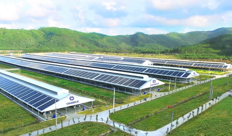 Năng lượng mặt trời đã được đưa vào sử dụng trên toàn bộ hệ thống trang trại, nhà máy của Vinamilk, trong đó có các trang trại Green Farm 