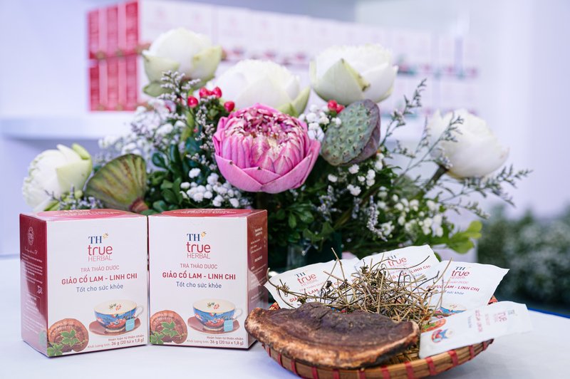 Giảo cổ lam – Linh chi là cặp thảo dược hoàn hảo để cải thiện sức khỏe. Đây là một trong bốn bộ đôi thảo dược thuộc bộ sản phẩm TH true HERBAL.