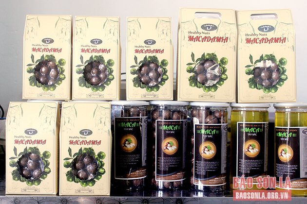 Sản phẩm Mắc ca sau chế biến.