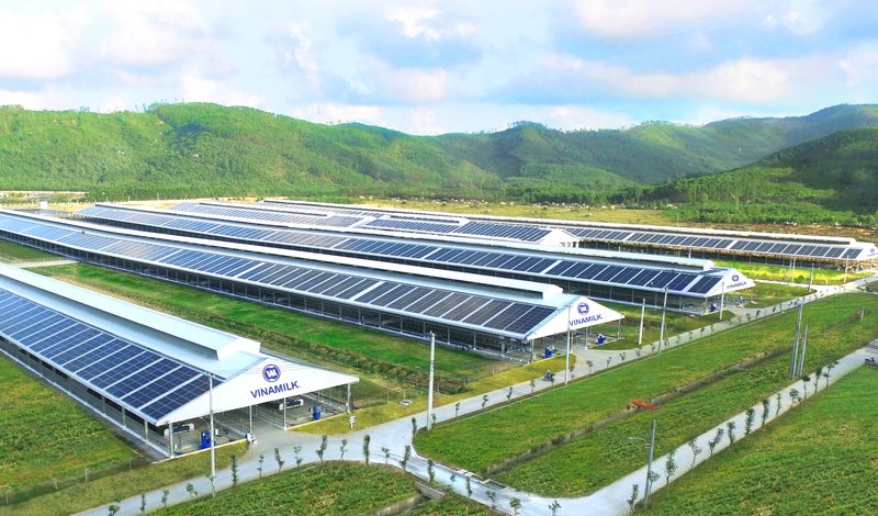 Hệ thống trang trại sinh thái Vinamilk Green Farm là kết quả nổi bật của Vinamilk trong việc thực hiện chiến lược phát triển bền vững