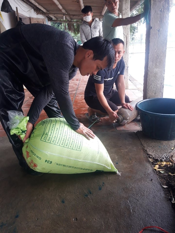 Người dân đang bơm oxi cho bì chứa cá để vận chuyển đi xa.