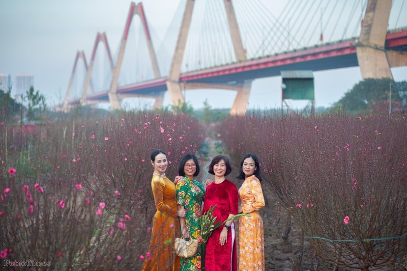 Hàng vạn gốc đào đã nở hoa, tạo nên một không gian tràn ngập sắc màu; cũng vì thế mà đây trở thành một điểm chụp ảnh Tết không thể bỏ qua đối với nhiều người.