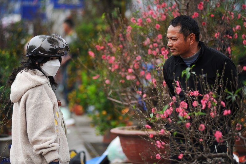 Anh Quyết, chủ một điểm bán cây cảnh trên phố Lạc Long Quân cho biết, hiện tại anh đã bán hết một nửa số cây mà mình có.'Hôm nay lượng khách hàng tăng đột biến so với những ngày trước, mặc dù sức mua tăng nhưng giá có giảm chút ít vì sát Tết.', anh Quyết cho biết thêm.