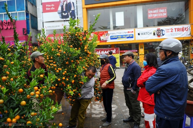Những chậu quất với giá giao động từ 500.000 cũng được nhiều người quan tâm. Chị Lê Thu Hương (mặc áo nâu quận Cầu Giấy), cho biết:' Những ngày vừa rồi vì công việc cuối năm quá bận rộn nên tôi chưa đi mua cây cảnh chơi Tết được. Hôm nay ra chợ hoa, cả con phố ngập tràn cây cảnh nên lưỡng lự mãi mới chọn được cho mình một chậu quất ưng ý.'.