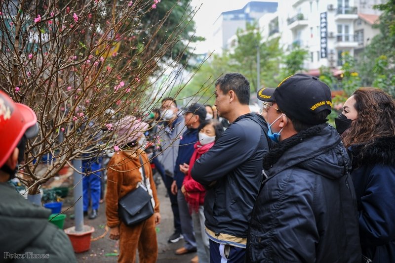 Chỉ một phút lưỡng lự, người đàn ông đội mũ trong ảnh đã bị người khác mua mất cành đào đang xem với giá 500.000 đồng. Với giá cả giao động từ 500.000 - 700.000 đồng, những cành đào phai với kích thước ổn, mẫu mã đẹp được săn đón nhiều.