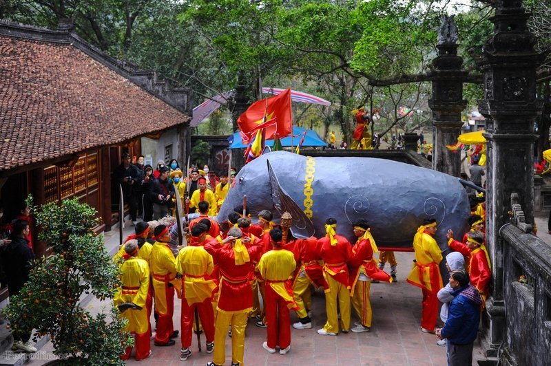 Thôn Dược Thượng, xã Tiên Dược dâng voi chiến lên đức Thánh Gióng.