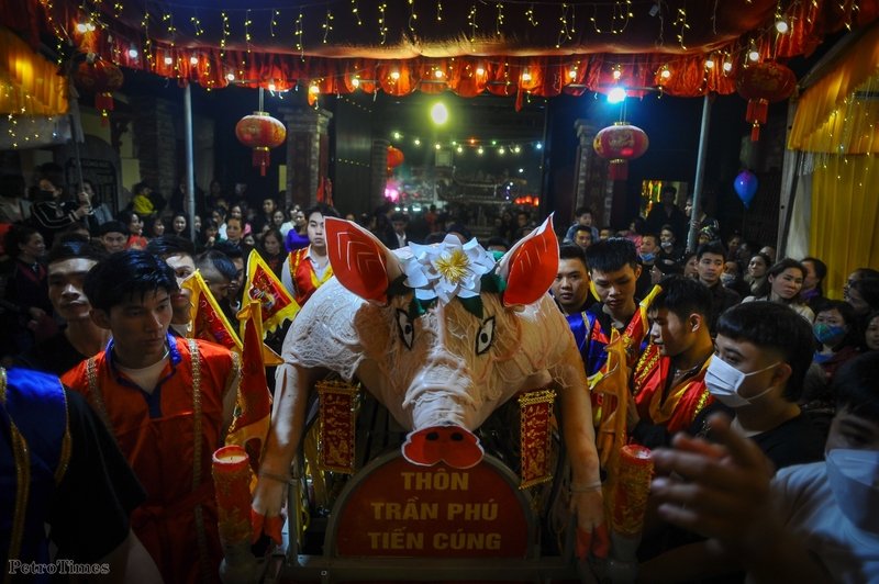 Đúng 21h, các“ông lợn” lần lượt được rước vào đình làng để tế lễ Thành hoàng. Để rước được 'ông lợn' về đình cần đến hàng chục thanh niên trai tráng chưa vợ.