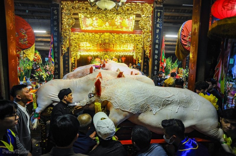 Sau khoảng hơn 1 tiếng đồng hồ, tất cả “ông lợn