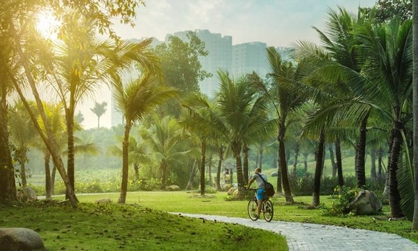 Cuộc sống xanh, hiền hòa ở KĐT Ecopark