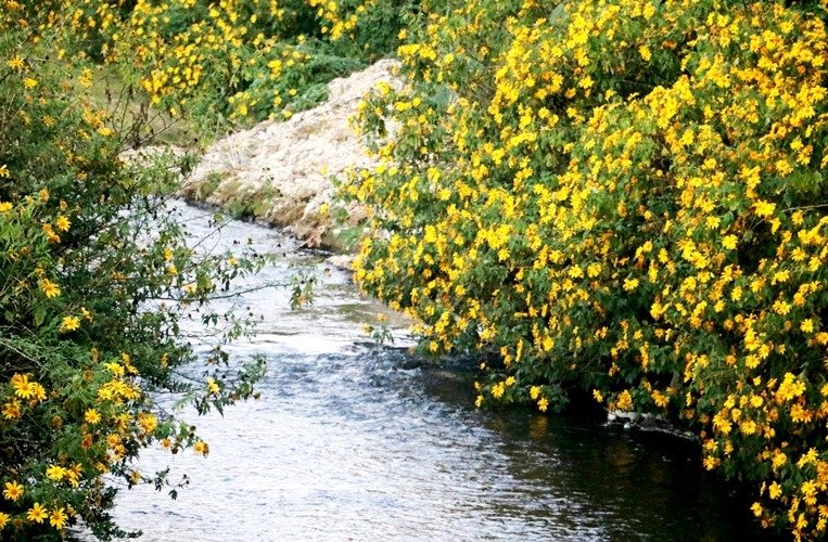 Ảnh: Cổng thông tin điện tử tỉnh Điện Biên