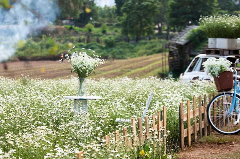 Ảnh: Kinh tế & Đô thị