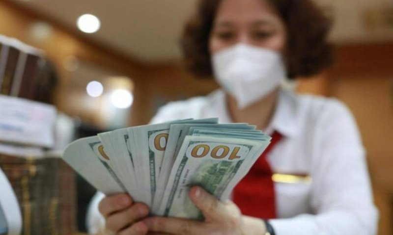 Việt Nam cần giữ tỷ giá ở mức ổn định, không mua ròng ngoại tệ quá mạnh trong thời gian liên tục