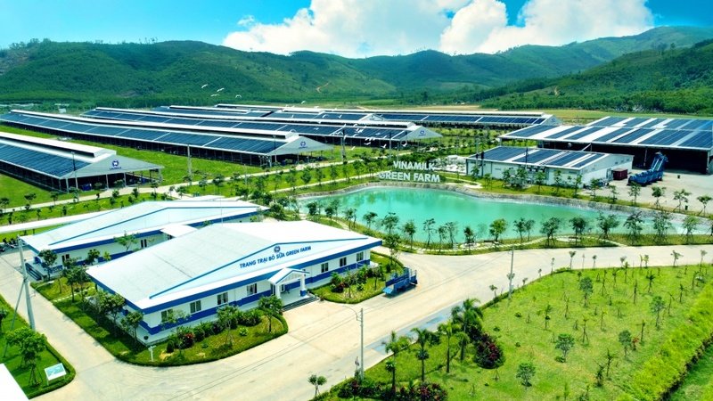 Bà Bùi Thị Hương, Giám đốc Điều hành Nhân sự - Hành chính - Đối ngoại, đại diện Vinamilk đón nhận các chứng nhận từ Brand Finance (Ảnh: Mibrand).