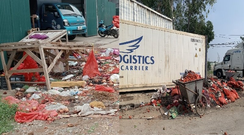 Nông sản thối vất bừa bãi gây ô nhiễm môi trường