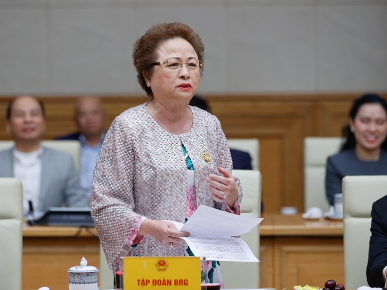  Chủ tịch Tập đoàn BRG Nguyễn Thị Nga.