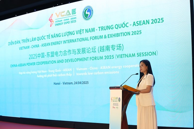 Bà Nguyễn Thị Thanh Bình, Phó Tổng Giám đốc Tập đoàn T&T Group, Chủ tịch T&T Energy, Phó Chủ tịch Hiệp hội Năng lượng Việt Nam phát biểu tại Diễn đàn