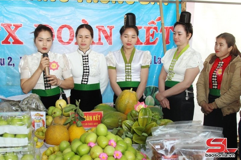 Gian hàng quảng bá, giới thiệu sản phẩm của HTX Đoàn Kết, xã Mường Bú, huyện Mường La. 