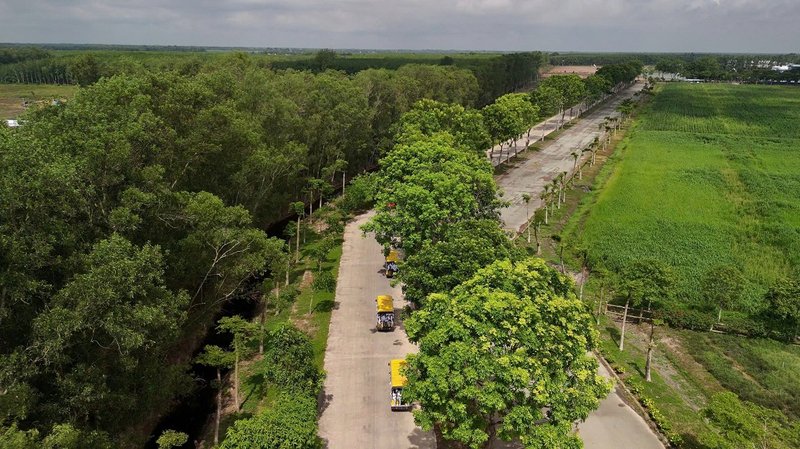 Xe điện cùng với xe đạp là những loại phương tiện di chuyển phổ biến bên trong trang trại (Ảnh: Văn Thành)