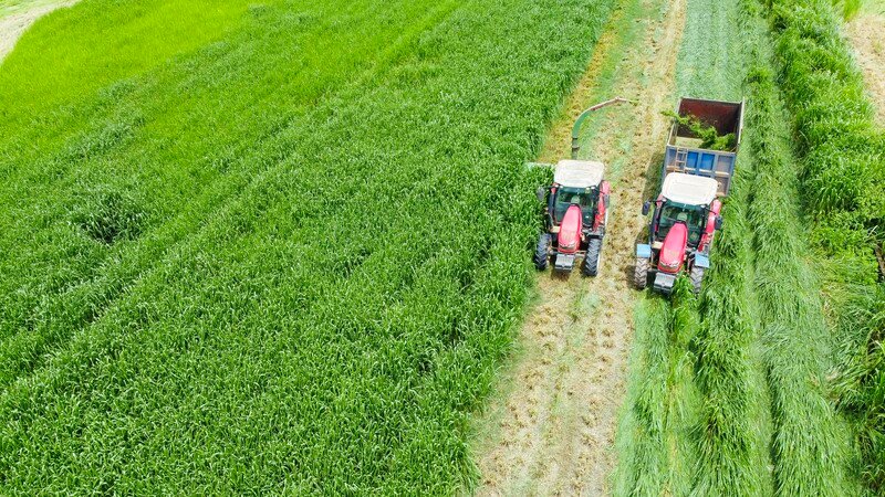 Farm tour VBCSD - 11b