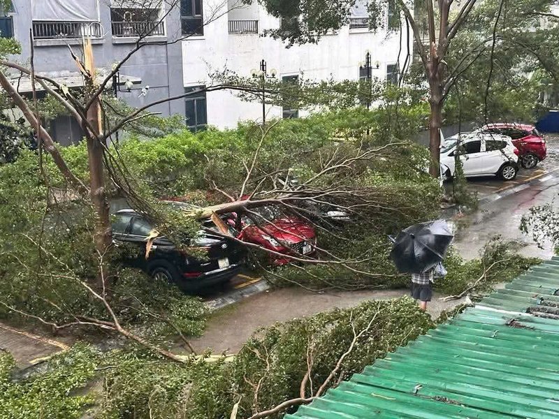  Hàng loạt cây xanh bị gãy, đổ làm hư hỏng nhiều tài sản có giá trị cao.