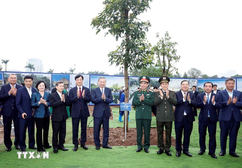 Trong đợt đầu tiên ra quân trồng cây đầu Xuân năm 2026, đến cuối tháng 3/2026, toàn thành phố sẽ phấn đấu trồng 80.000-100.000 cây xanh các loại và trong năm 2026 sẽ trồng khoảng 400.000 cây - Ảnh: TTXVN