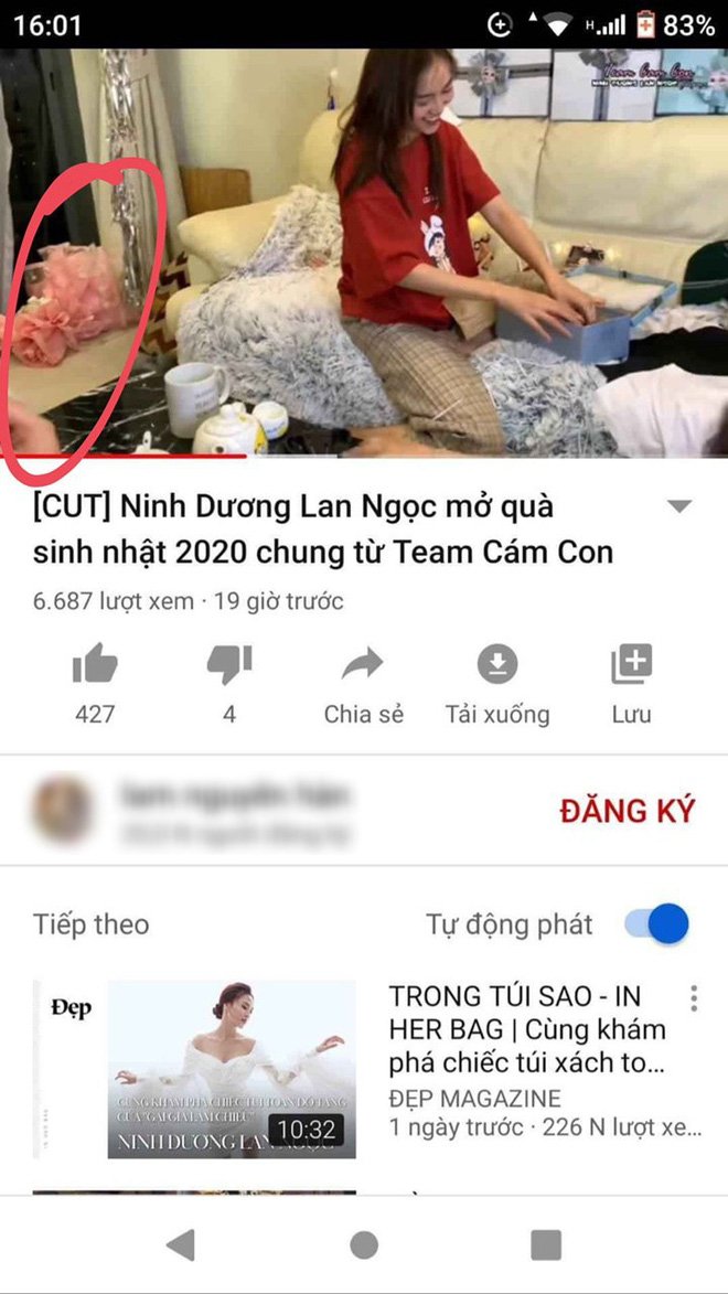 Fan nghi ngờ đây chính là bó hoa được Chi Dân tặng.