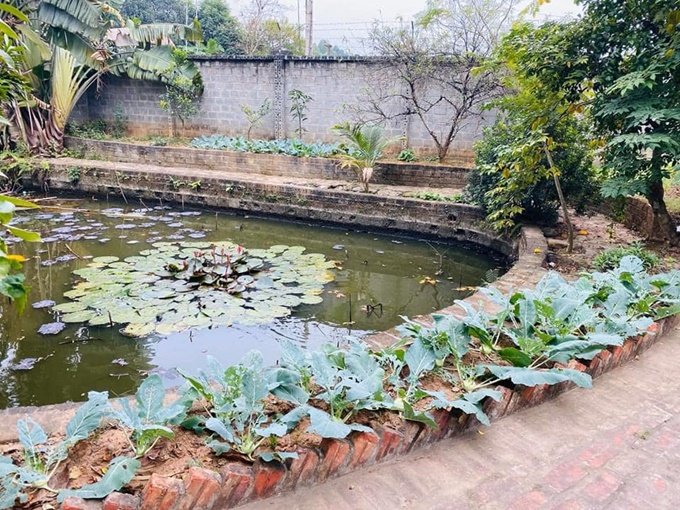 Mùa nào thức ấy, rau có được trồng và chăm sóc theo nhu cầu của gia đình.