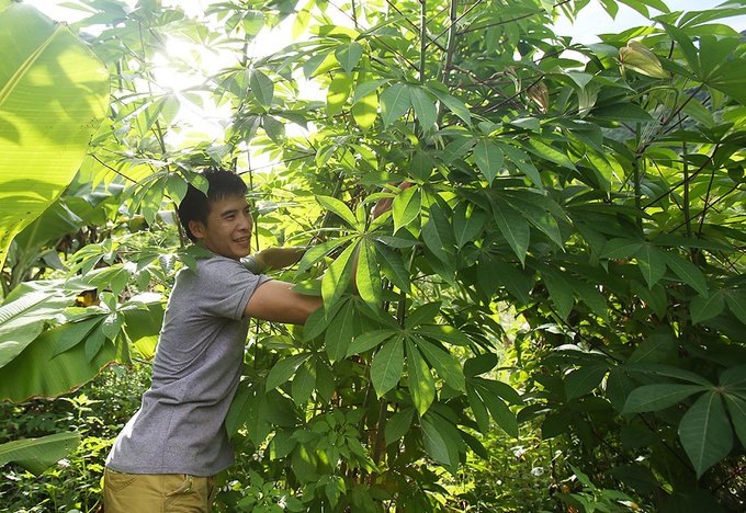 Thầy cô hái măng, bắt cá cải thiện bữa ăn