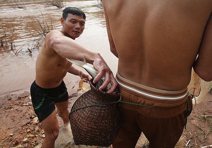 Thầy cô hái măng, bắt cá cải thiện bữa ăn