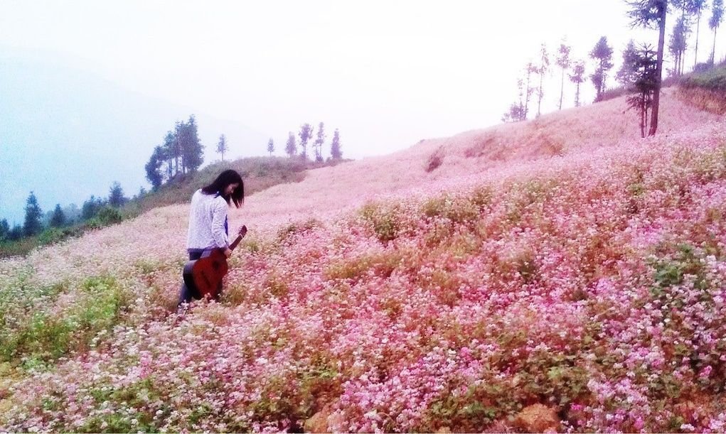 tam giac mach ha giang