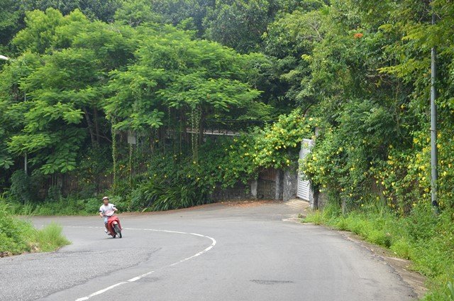 Chủ tịch Đà Nẵng kể chuyện đi điều tra đường dây cán bộ 