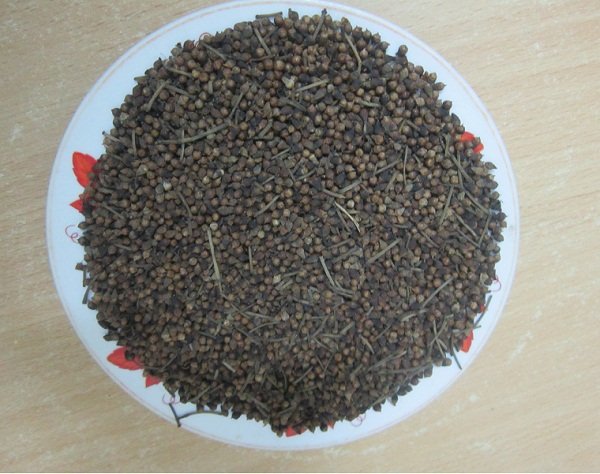 Một số bài thuốc từ cây vối