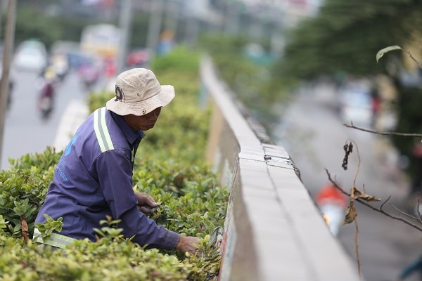 ha-noi-chi-25-ty-dong-tu-sua-buc-tranh-gom-su-lon-nhat-the-gioi