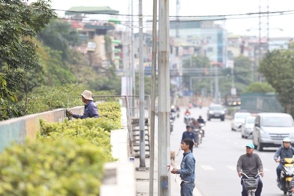 ha-noi-chi-25-ty-dong-tu-sua-buc-tranh-gom-su-lon-nhat-the-gioi