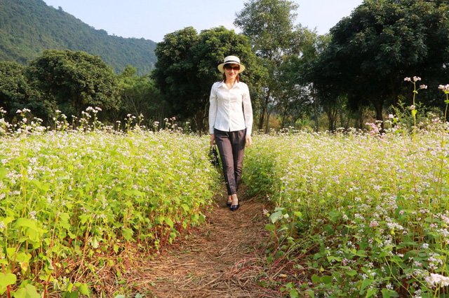 Vườn tam giác mạch “có 1 không 2” hút hồn du khách ở Ninh Bình