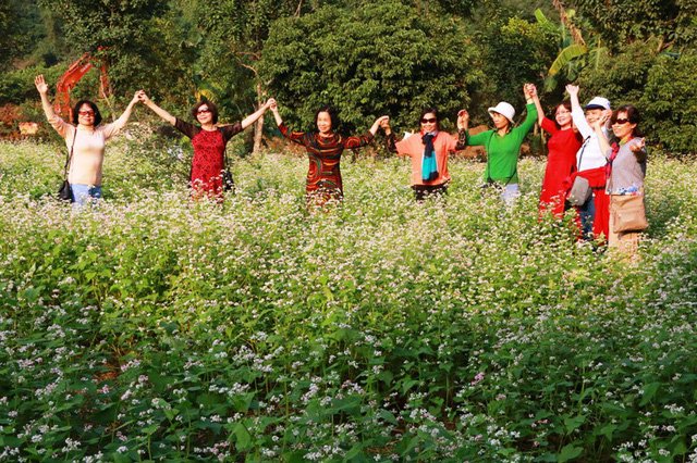 Vườn tam giác mạch “có 1 không 2” hút hồn du khách ở Ninh Bình