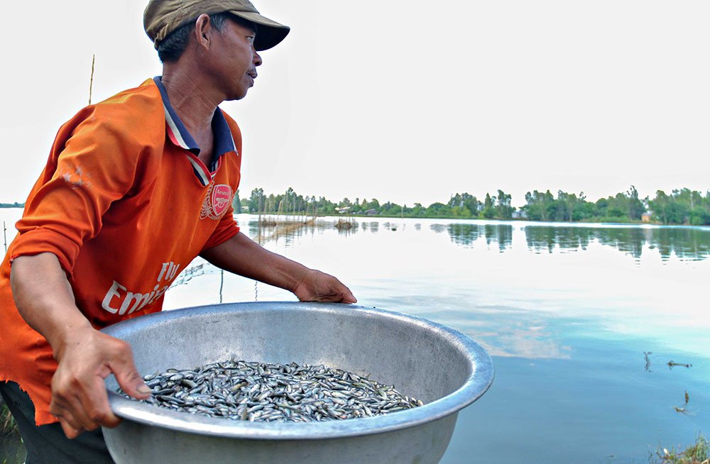 Đi qua mùa nước nổi