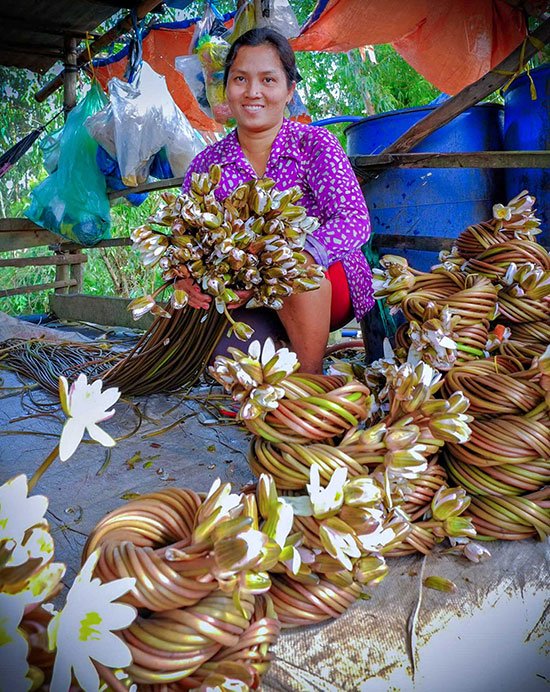 Đi qua mùa nước nổi