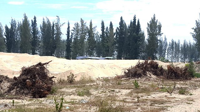 Phú Yên cho phá rừng phòng hộ làm dự án New City sai luật