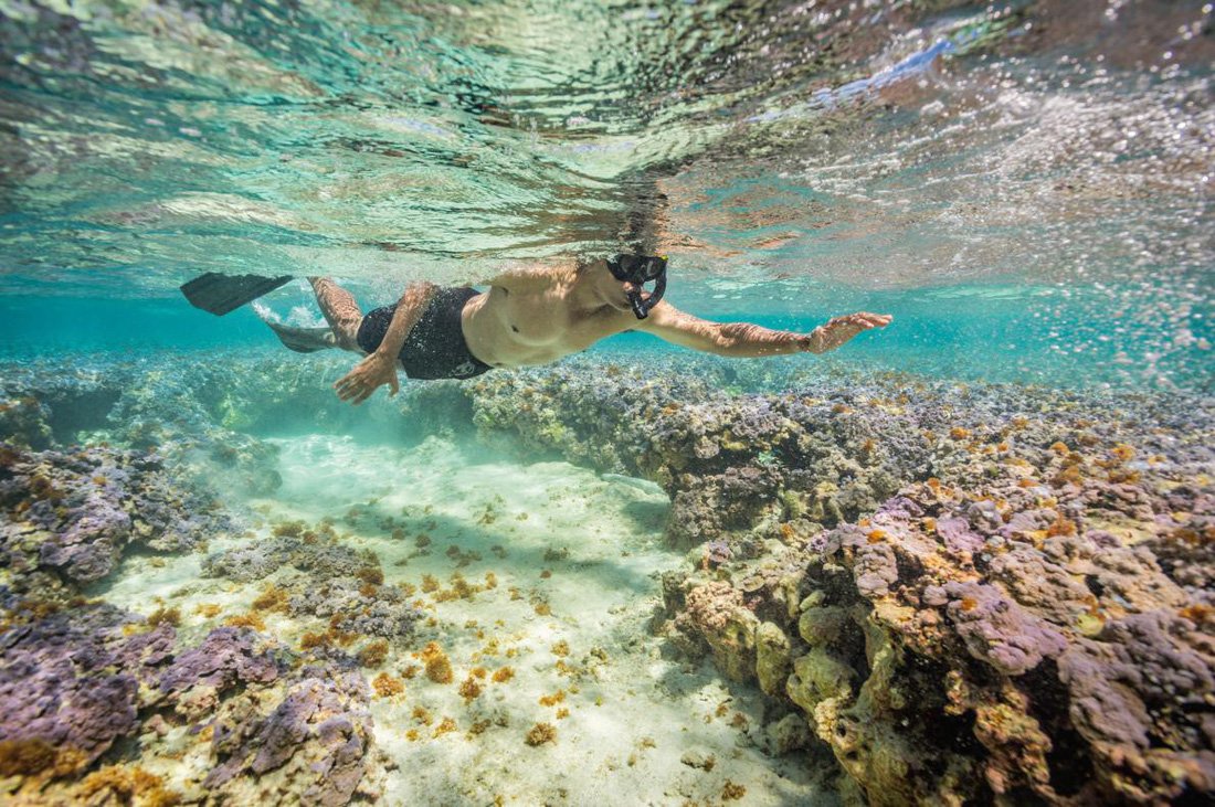 Những bức ảnh xuất sắc nhất của NatGeo năm 2017 - Ảnh 4. Những bức ảnh xuất sắc nhất của NatGeo năm 2017