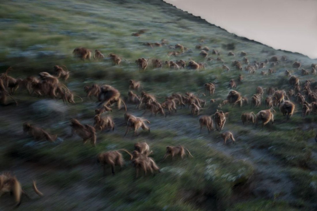 Những bức ảnh xuất sắc nhất của NatGeo năm 2017 - Ảnh 7. Những bức ảnh xuất sắc nhất của NatGeo năm 2017