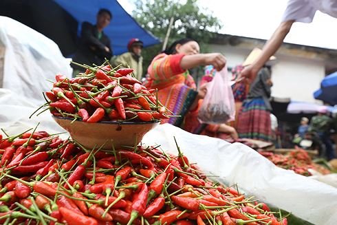 Hương sắc tự nhiên ở chợ phiên núi rừng Hoàng Su Phì
