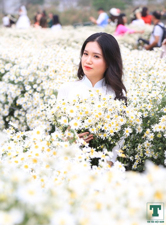 hoa-thuy-tien-cuoi-mua