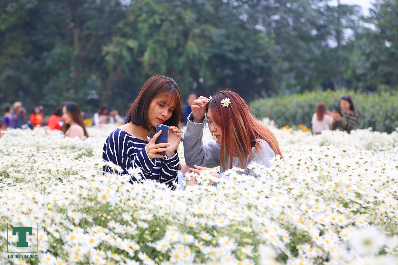 hoa-thuy-tien-cuoi-mua
