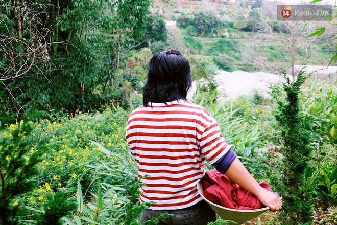 Cô thạc sĩ Sài Gòn bỏ phố lên rừng, trồng hoa và sống trong ngôi nhà nhỏ với 5 chú mèo ở Đà Lạt