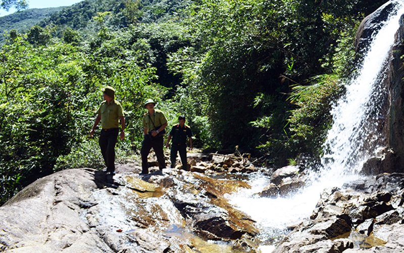 'Nhất thiết phải tăng tính phòng hộ của rừng đầu nguồn, đặc biệt là rừng đầu nguồn các công trình hồ đập'